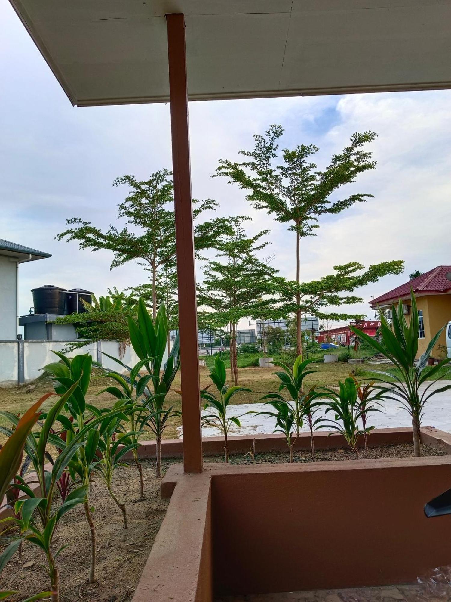 Alfa Roomstay Pantai Cenang  Exterior foto
